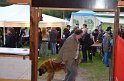 MCE Sommertreffen 2012 - 083